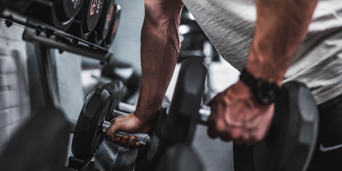 Quanto tempo para ganhar massa muscular?